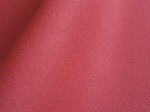 y135×100cmz聦ŏ㋉ XG[hn lHv { yy[bhzi胁[J[AEgbgij[ECS-PLRED-N]
