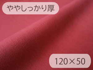 y120×50cmJbgnz聦ŏ㋉ XG[hn lHv { y₵ ԁzi胁[J[AEgbgj[ECS-RED-STS-N-C50]