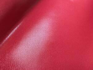 y95cm×1MJbgnz烌U[n  c S4F [CAP-1M]