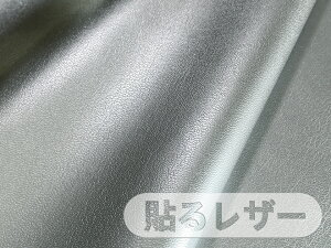 烌U[n ڒV[  yVo[z [SLCAP-19]
