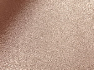 烌U[n RECX Ryzn  y[sNz[LINO-02]