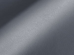 ŏ㋉烌U[nynC\tg O[z [HQ-HS-11]