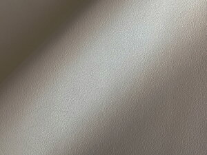 ŏ㋉烌U[nynC\tg I[Nz [HQ-HS-4]