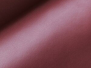 ŏ㋉烌U[nynC\tg Cz [HQ-HS-8]