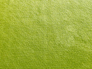 y140×20cmJbgnz[X XG[hnyR ΁z [LAM-08-C20]