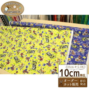 XvgD[3 IbNXy10cmzyXvgD[ Nintendo LN^[ n z  wz