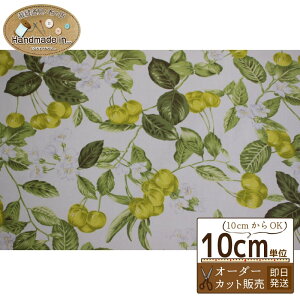 ySS聚P5{&ő7%OFFN[|zGSmL IbNX y10cmz yGS̖ Vv O[ A n IbNXn z z