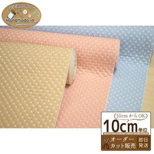 ʃu[hLgy10cmz yhbg pXeJ[ LeBO n z  wz