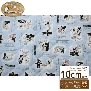 y}\P5{5OFFN[|zTƃKXp[ IbNXLg y10cmz y  LeBO LN^[ n z  w z