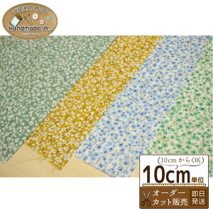 60[vg ԕy10cmzyԕn t[ [n Vc uEX m  t  nhCh |z