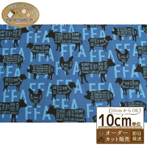 USvg FFAy10cmz y u[   LN^[ n z  wz