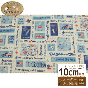 Michael miller PATRIOTIC PATCHWORKy10cmzy}CP~[  F u[ n z | nhCh z