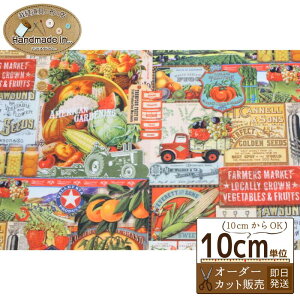 MODA FARM AND GARDEN V[`Oy10cmz y USvg _ gN^[ ؁@xW^u n z  w z