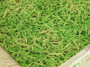 y1m܂Ń[֑Ήz@ՂՂ@neonW[@ŐŃS