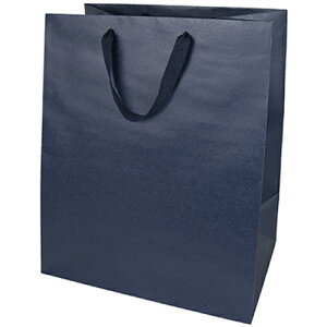 CfBS@ChobO@M@lCr[u[@PC210