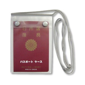 RTCX@pX|[gP[X@񉺂^Cv@NA