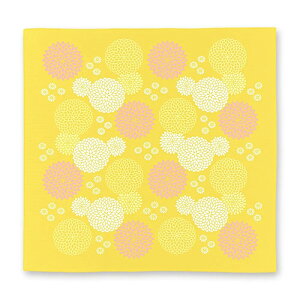 C~iFUROSHIKIj@݂̑啗C~@es