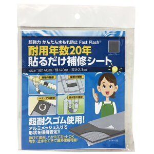 �Z�m�n�E�X�@Fast�@Flash�@�\�邾����C�V�[�g�@�O���[�@14×14cm