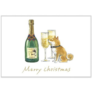 yNX}Xz@ANeBuR[|[V@΂ʂƃNX}X|XgJ[h@CMP|390