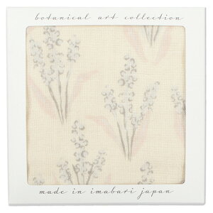 JiCalelaj@K[[^I@nJ`Mtg@E