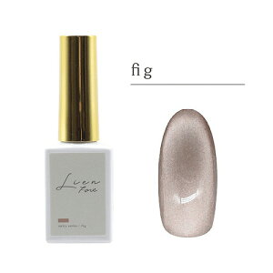 �G���W�F���iMGEL�j�@Lien�@Fort�@�J���[�W�F���@Z080�@fig