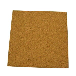 RNpזځ@200×200×10mm