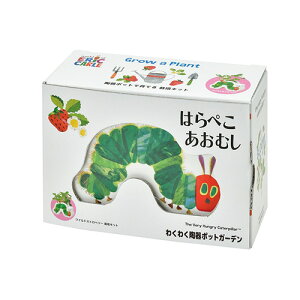 V|@͂؂ނ@킭킭|bgK[f@HP06-02@ChXgx[