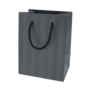 �C���f�B�S�@�A�N�Z�T���[�o�b�O�@PC281�@�w�����{�[���@�_�[�N�O���[