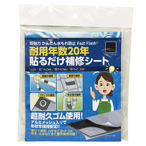�Z�m�n�E�X�@Fast�@Flash�@�\�邾����C�V�[�g�@�u���b�N�@14×14cm