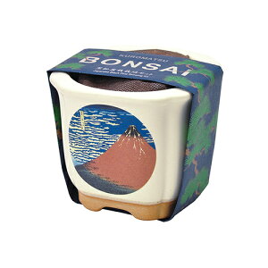 V|@BONSAI@GD640|4@ԕxm