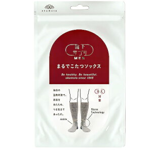 CTv@܂ł\bNX@Y@25`27cm@O[