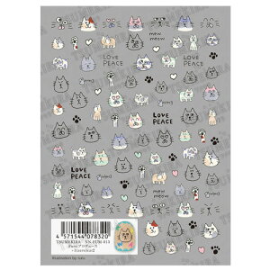 �c���L���iTSUMEKIRA�j�@�l�C���V�[���@Fumi�v���f���[�X�@NN�|FUM�|013�@+1�izero�jcat2�@Illustration�@by�@ruru