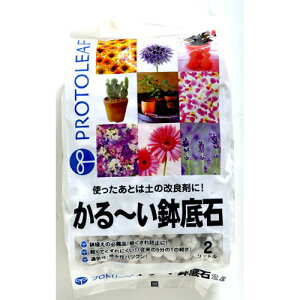 vg[tiPROTOLEAFj@y΁@2L