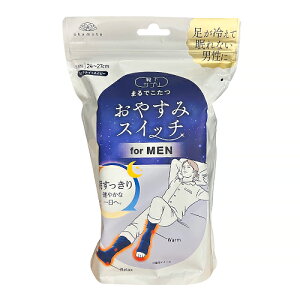 CTv@܂ł@₷݃XCb`@Y@24`27cm@~bhiCglCr[