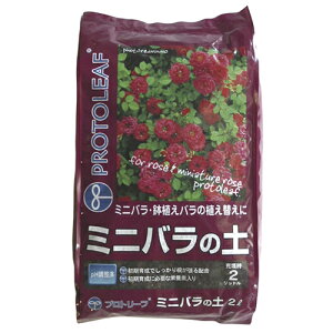 vg[tiPROTOLEAFj@~jo̓y@2L