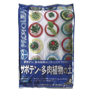 vg[tiPROTOLEAFj@T{e^A̓y@2L