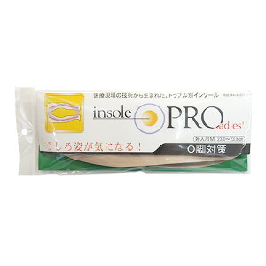 @C\[viinsole@PRO)@Or΍@fB[X@M@x[W