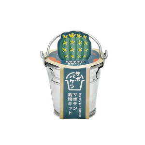 V|@T{oPc͔|Lbg@GD1034|1@ۃT{e