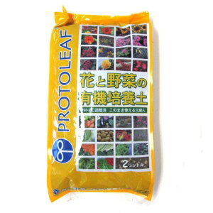 vg[tiPROTOLEAFj@ԂƖ؂̗L@|{y@2L