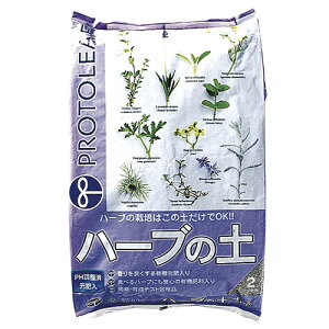 vg[tiPROTOLEAFj@n[u̓y@2L