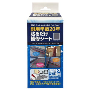 �Z�m�n�E�X�@Fast�@Flash�@�\�邾����C�V�[�g�@�O���[�@14×50cm