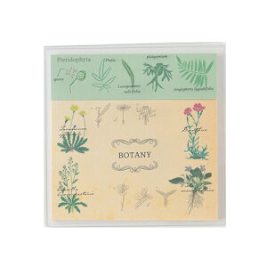 O[tbViGreenFlashj@STUDY@HOLIC@NAJo[tⳁ@ST|180@Aw