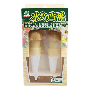 }n`YƁ@蓖ԁ@MTCY@2