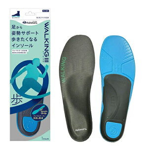�A�V�}���iAshimaru�j�@�E�H�[�L���O3�@CF81�@23�`23.5cm