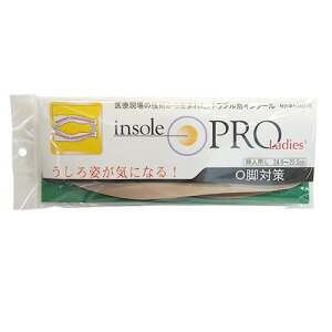@C\[viinsole@PRO)@Or΍@fB[X@L@x[W