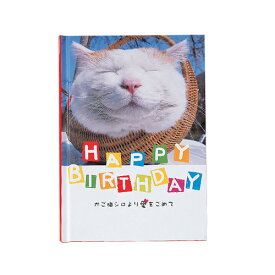 学研　BDメッセージブック　かご猫　B10018│カード・メッセージカード　バースデー・誕生日カード