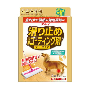 C@~߁@pR[eBO܁@V[g^Cv@4