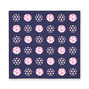 C~iFUROSHIKIj@݂̑啗C~@