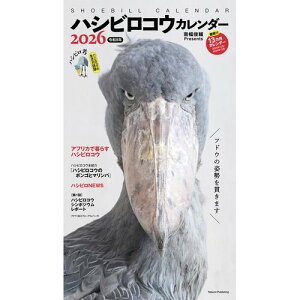 y2026NŁEǊ|z@CoŁ@nVrREJ_[^앝r@6279