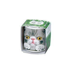 V|@傱ŔL@GD1029|4@O[